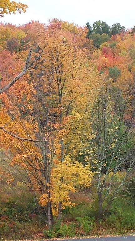 Margaretville Mountain Inn B&B Екстериор снимка