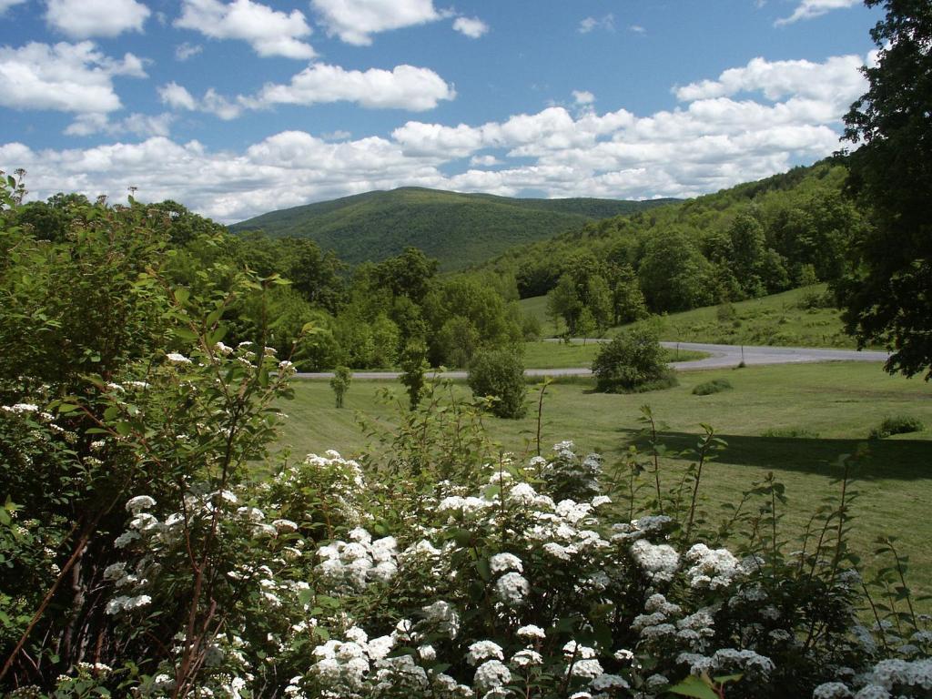Margaretville Mountain Inn B&B Екстериор снимка